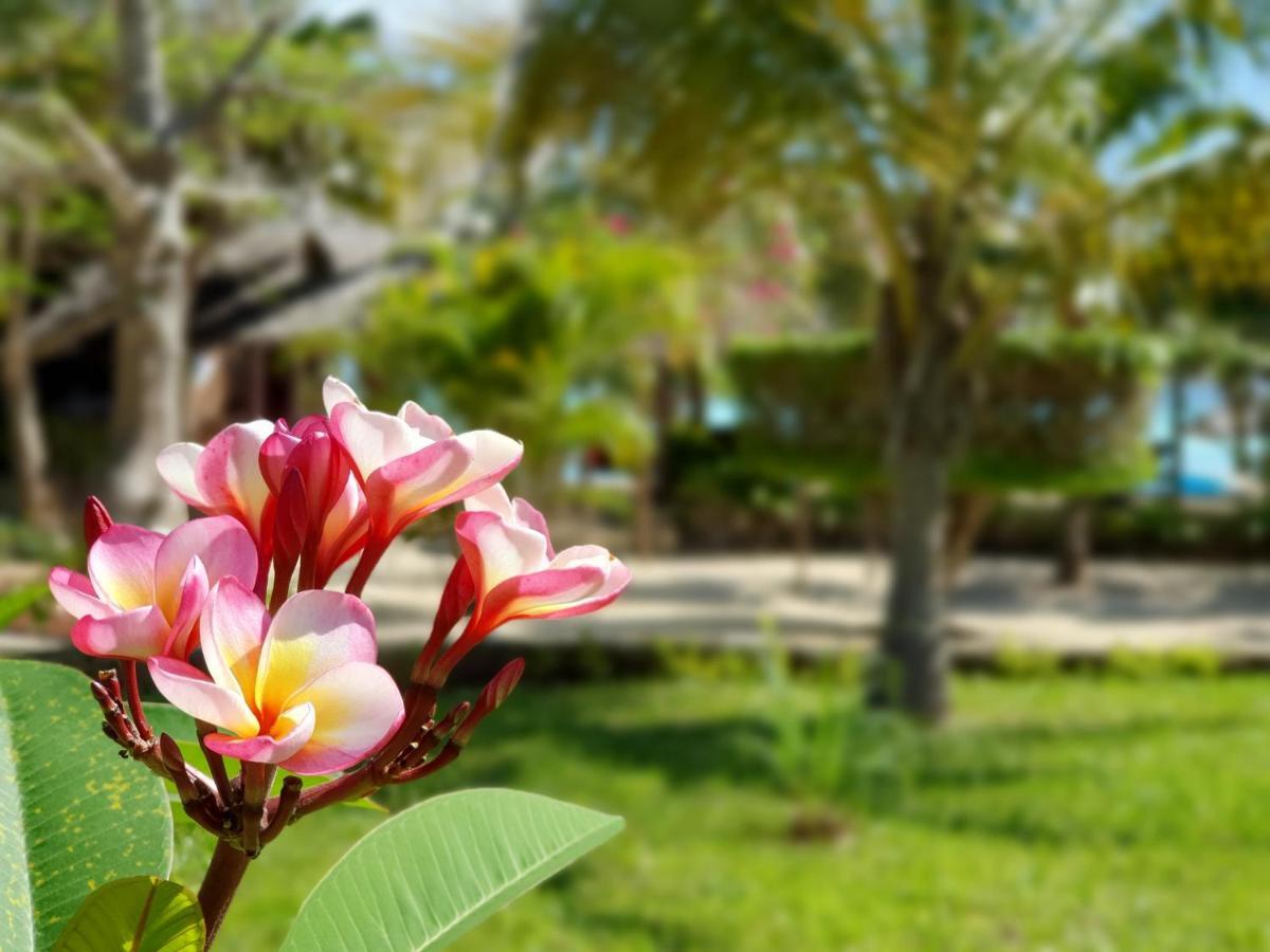 The Zanzibari Hotel Nungwi Exterior foto